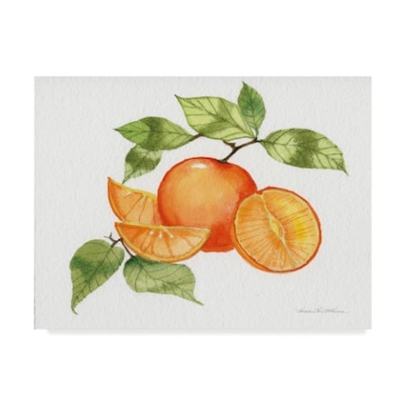 Kathleen Parr Mckenna 'Citrus Garden Viii' Canvas Art,14x19